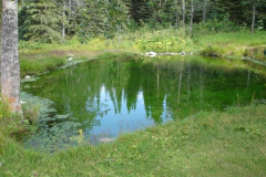 Atlin-Warm-Springs