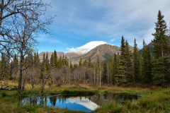 Atlin 44