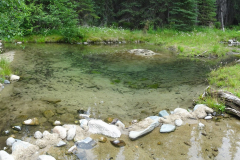 Buhl-Creek-11