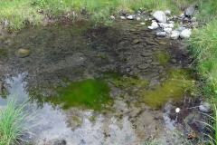 Buhl-Creek-111