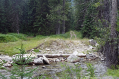 Buhl-Creek-35