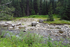 Buhl-Creek-44