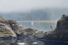 Eucott-Bay-Hot-Springs-new