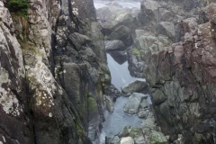 hotspring-cove-3
