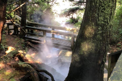 hotspring-cove-6