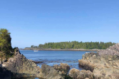 hotspring-cove-7
