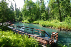 1_liard-9
