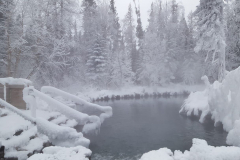 1_liard1