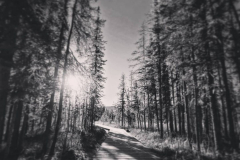 Liard-Hpot-Springs-6-@x.capture.that_