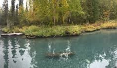 Liard