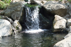 Meager-Creek-Hot-Springs-99