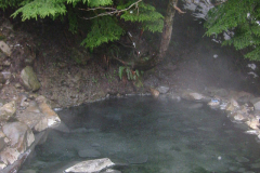 Olympic-Hot-Springs-4