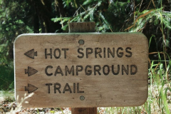 Olympic-Hot-Springs-perksofbeinga_wildflower-7