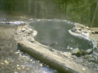 St-Leon-Springs