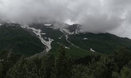Len King Hot Springs
