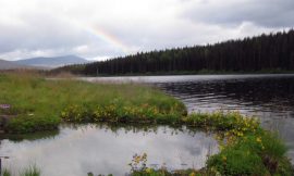 Tchentlo Lake Warm Springs