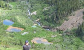 Elwyn Creek Hot Springs