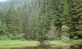 Klekane Hot Springs