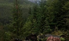 Wilson Lake Warm Springs