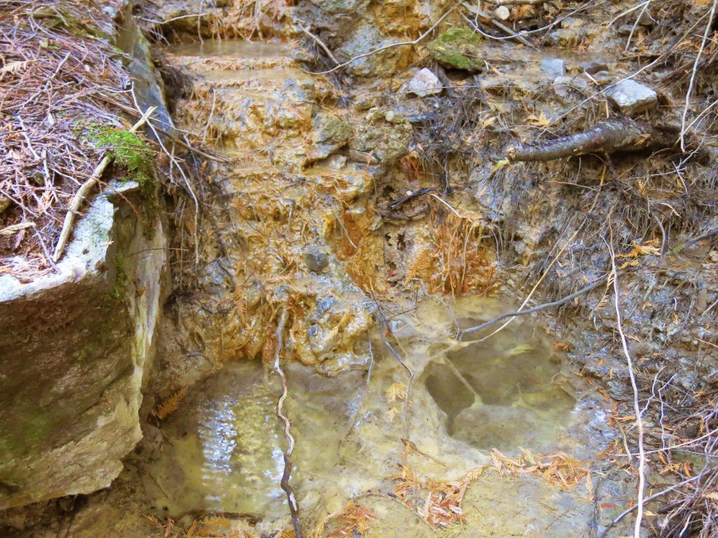 Read more about the article Angel Warm Springs