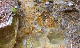 Angel Warm Springs