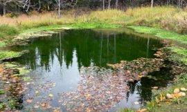Atlin Warm Springs