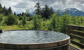 Chief Shakes Hot Springs