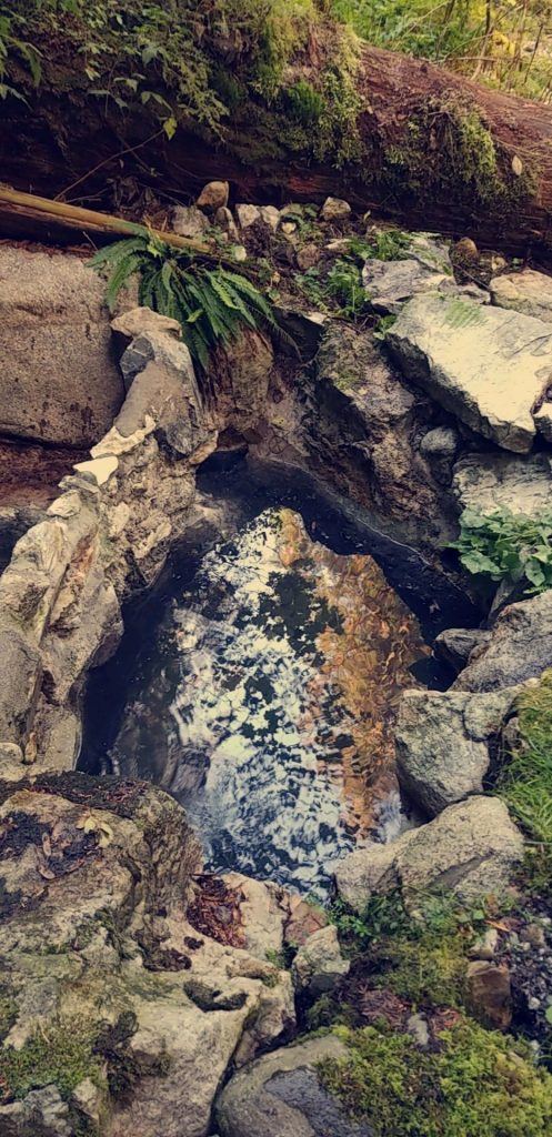 Read more about the article Sulphur Hot Springs