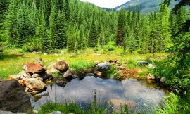 Wild Horse Warm Springs