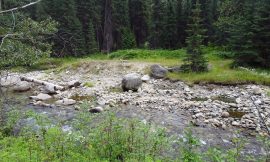 Buhl Creek Hot Springs