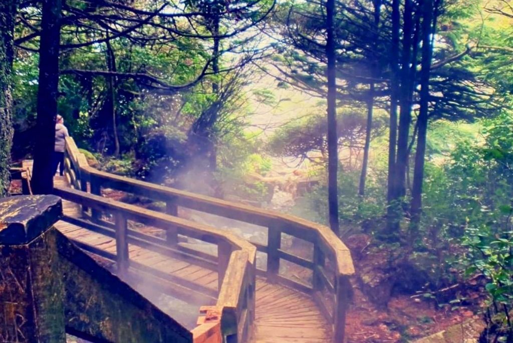 Read more about the article Hot Springs Cove