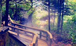 Hot Springs Cove