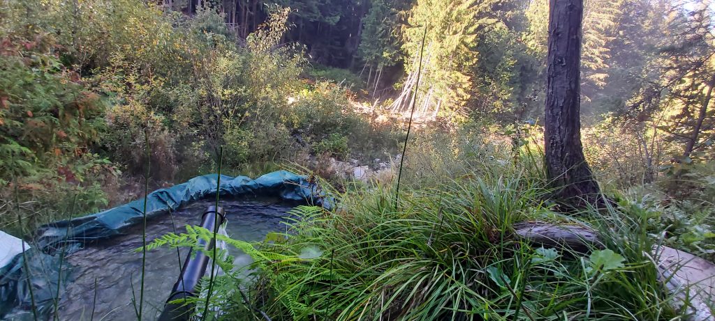 Read more about the article Crawford Creek Warm Springs