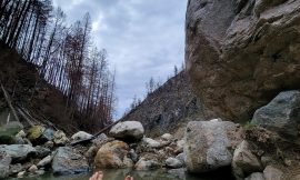 Octopus Creek Hot Springs